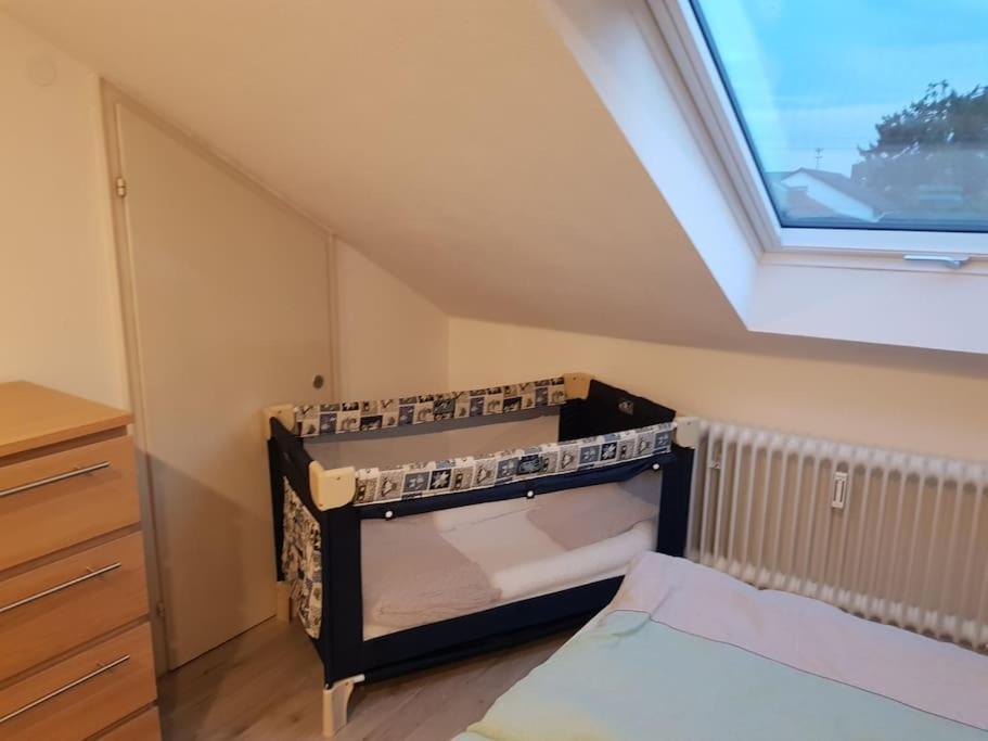 Gemuetliche Wohnung Bei Bad Waldsee Mit Balkon Extérieur photo